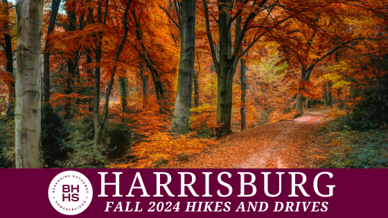 Exploring Harrisburg's Scenic Fall Foliage Routes and Trails | BHHS Homesale Realty
