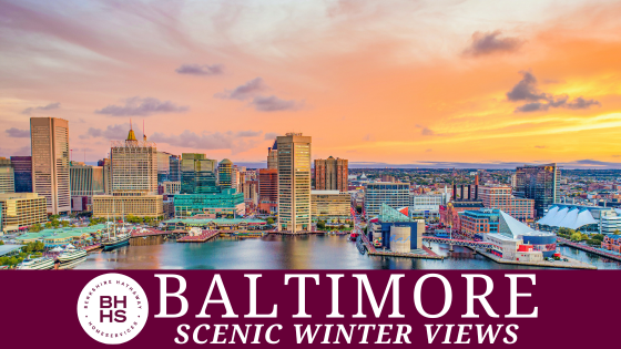 Baltimore's Must-Visit Spots for Winter Scenery | BHHS Homesale Realty