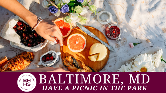 Enjoy National Picnic Month: Best Parks for a Day Outdoors | BHHS Homesale Realty