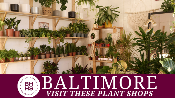 Green Paradise: Baltimore's Best Independent Plant Shops | BHHS Homesale Realty