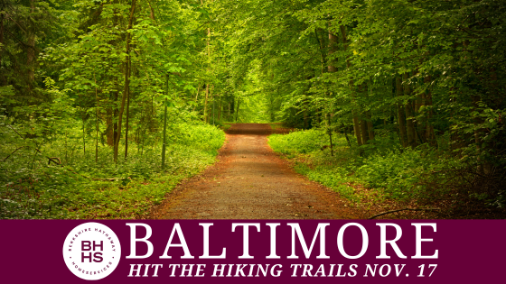 Hit the Trails: Where to Hike on Nov. 17 in Baltimore   | BHHS Homesale Realty