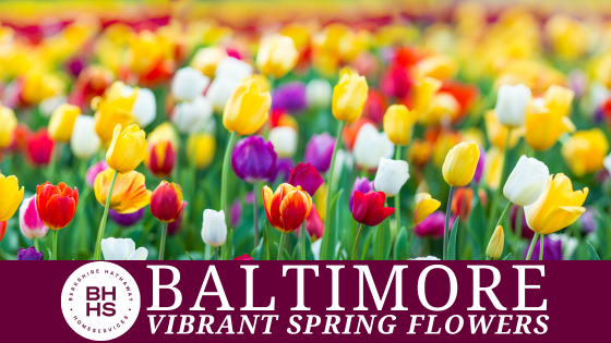 Top Spots for Vibrant Spring Flowers in Baltimore | BHHS Homesale Realty