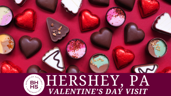 Where Chocolate Dreams Come True: Visit Hershey, PA in February | BHHS Homesale Realty