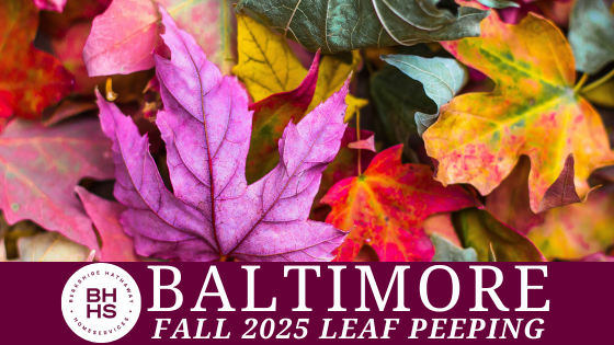 Where to Experience the Best Autumn Colors in Baltimore | BHHS Homesale Realty