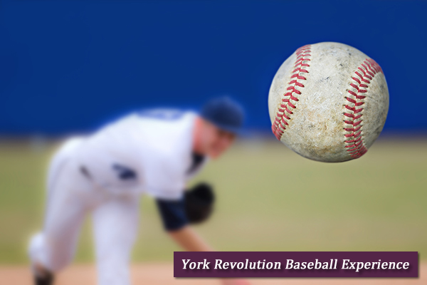 York Revolution Baseball Experience