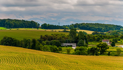 York PA Live Work Play