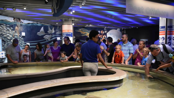 Baltimore National Aquarium